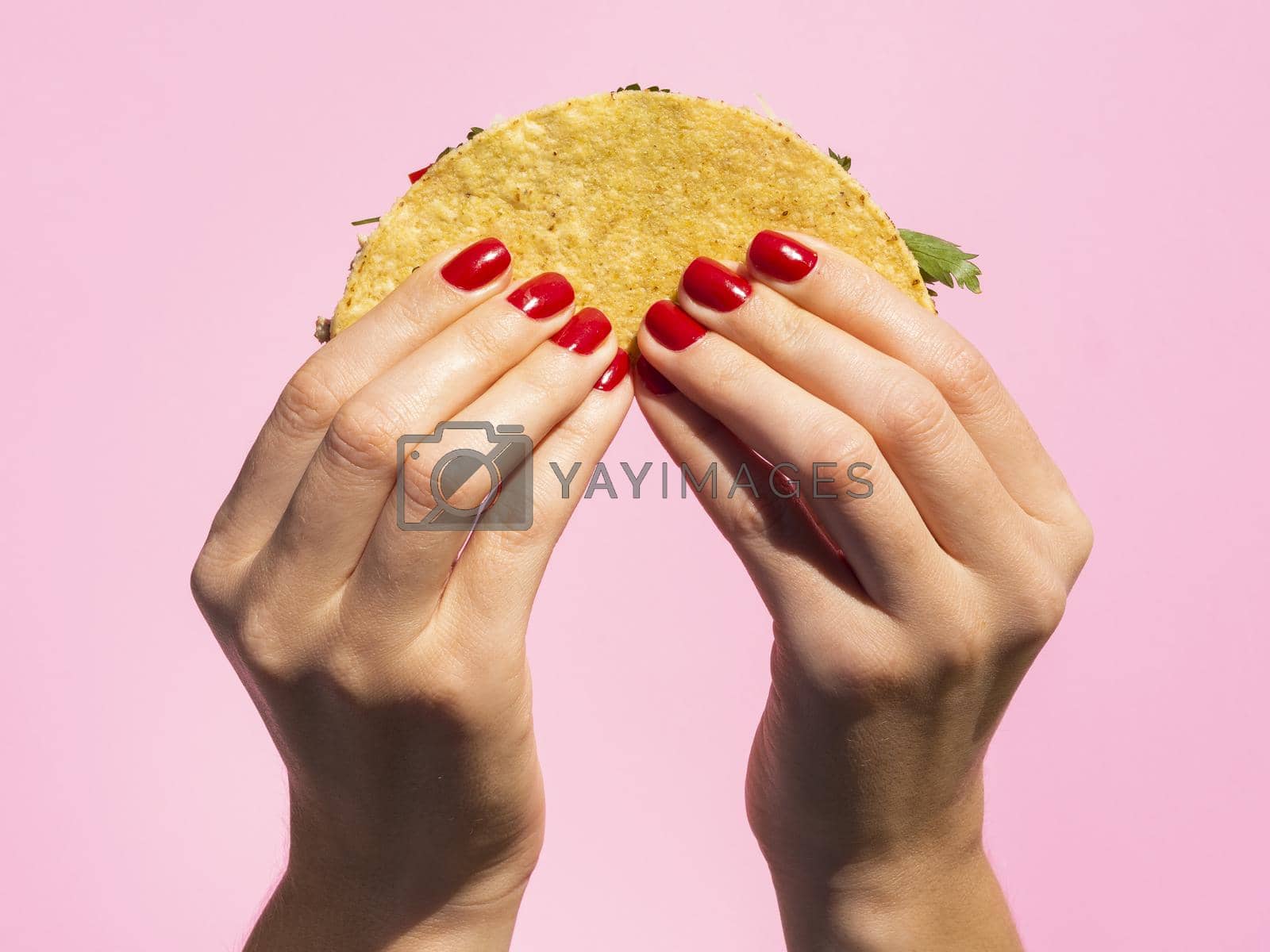 Royalty free image of close up hands holding taco with pink background by Zahard