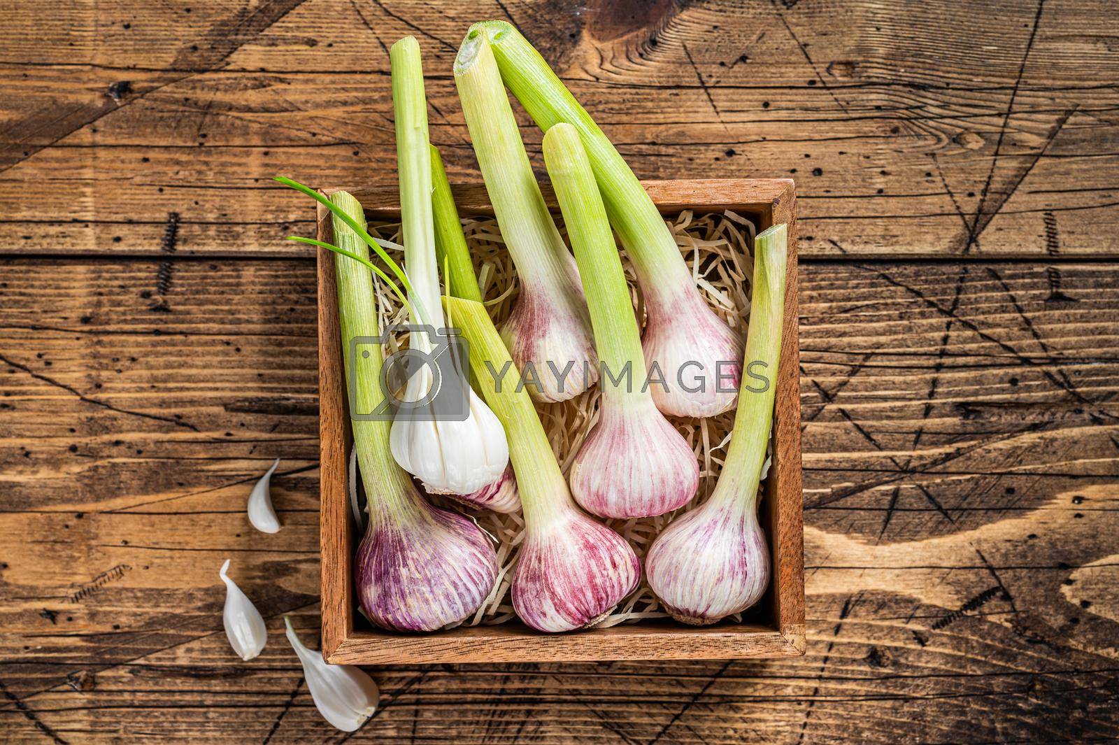Royalty free image of Young Spring garlic bulbs and cloves in wooden box. Wooden background. Top view by Composter