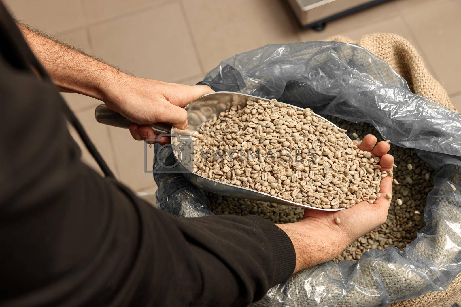 Royalty free image of raw coffee testing before roast by Yaroslav_astakhov
