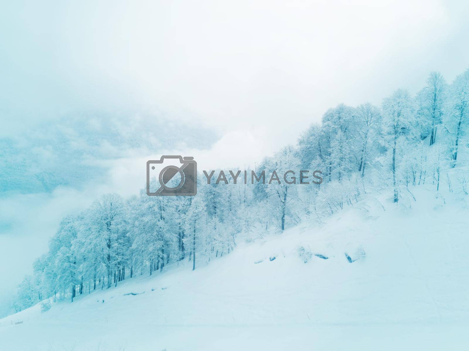 Royalty free image of Mountain winter slope by Yellowj