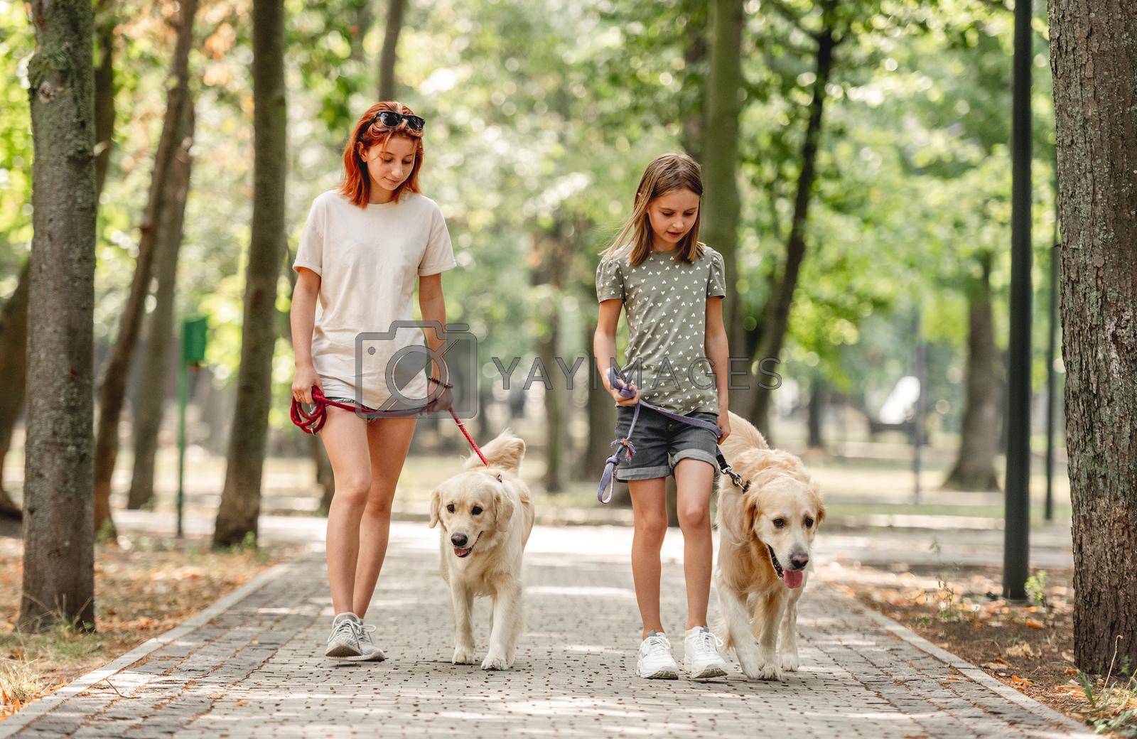 Girls with golden retriever dogs walking in the park. Beautiful sisters walking with pets doggies at nature together