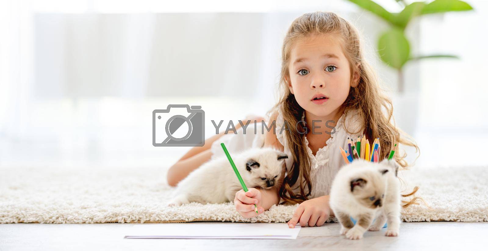 Child girl painting with ragdoll kittens on the floor. Little female person drawing with colorful pencils and kitty pets close to her at home