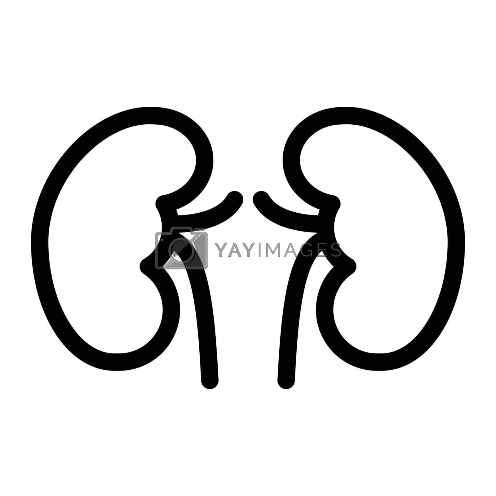 Royalty free image of kidney by FlaticonsDesign