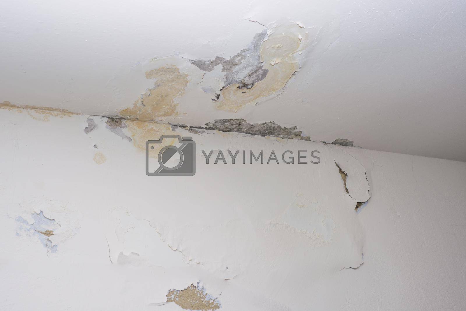 Damage ceiling from water pipelines leakage. Housing problem concept - image