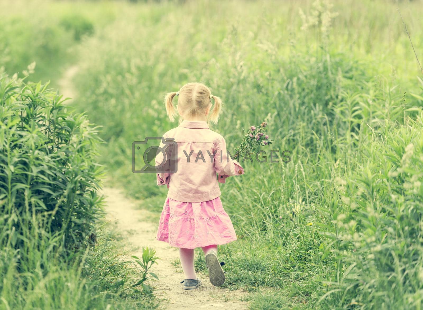 Royalty free image of Cute little girl on the meadow by tan4ikk1