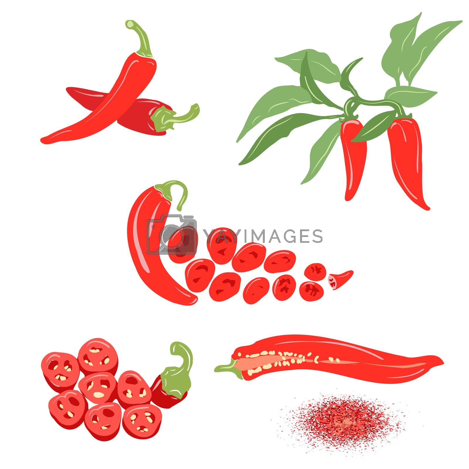 Royalty free image of Chili pepper vector set. by GALA_art