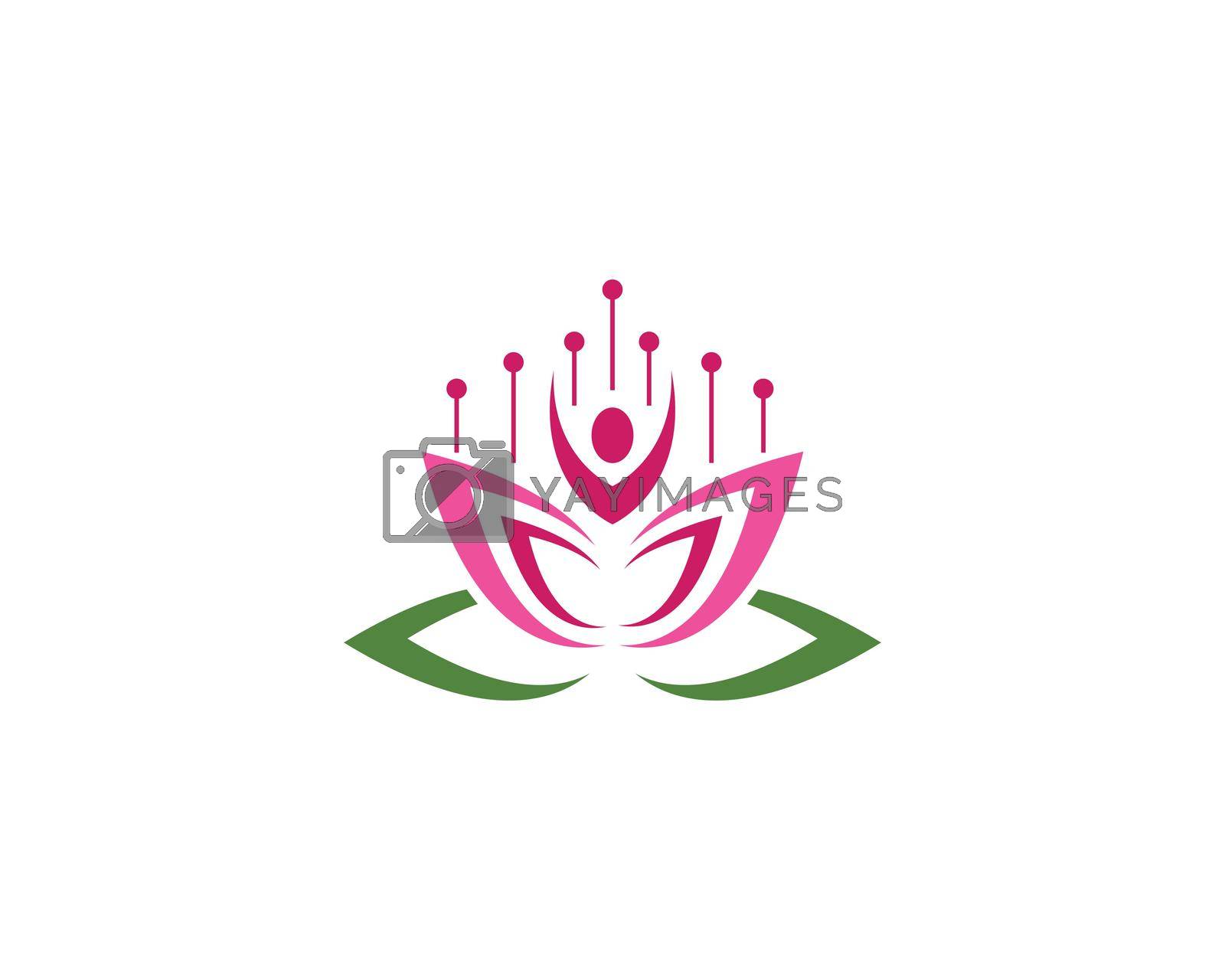 Beauty Lotus flowers illustration logo vector design