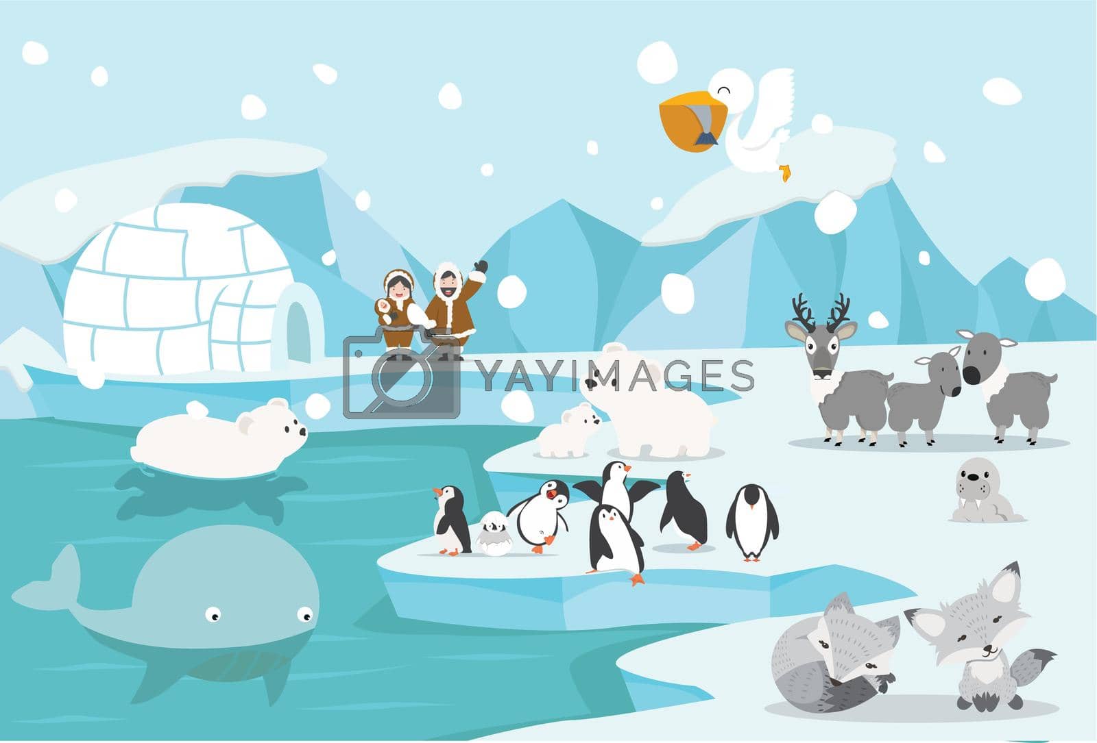 animals North pole Arctic landscape