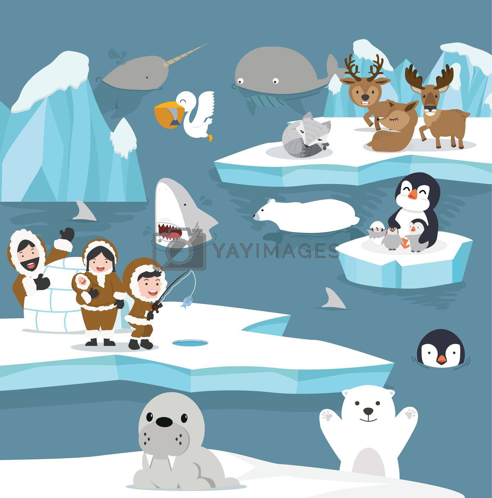 arctic animals cartoon template set