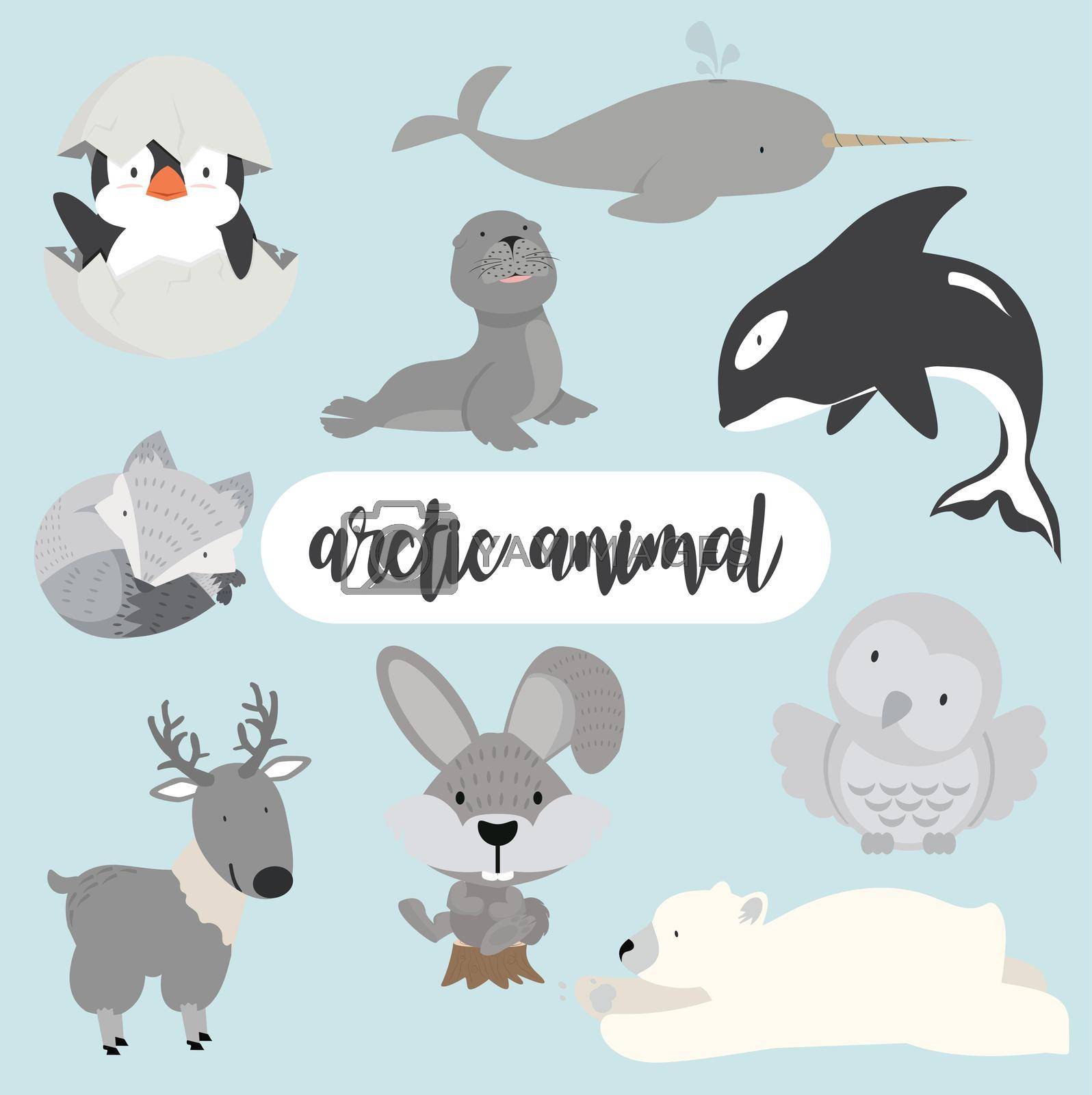 Arctic animals  cartoon Flat style character illustration set