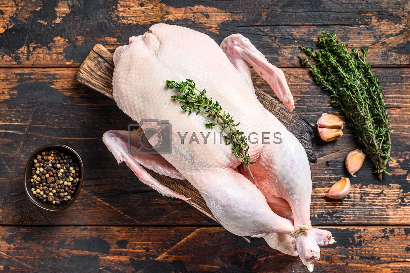 Royalty free image of Raw whole mallard duck, poultry meat with herbs. Dark wooden background. Top view by Composter