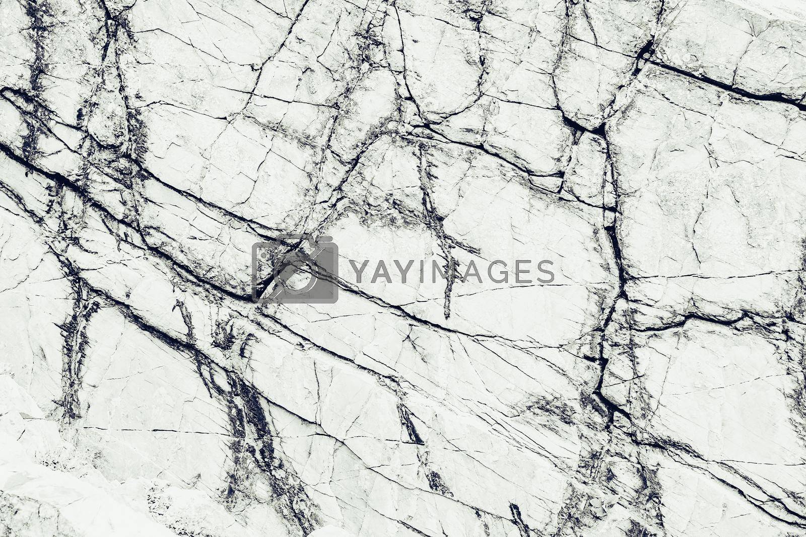 Rough surface of white rocky stone, texture for background