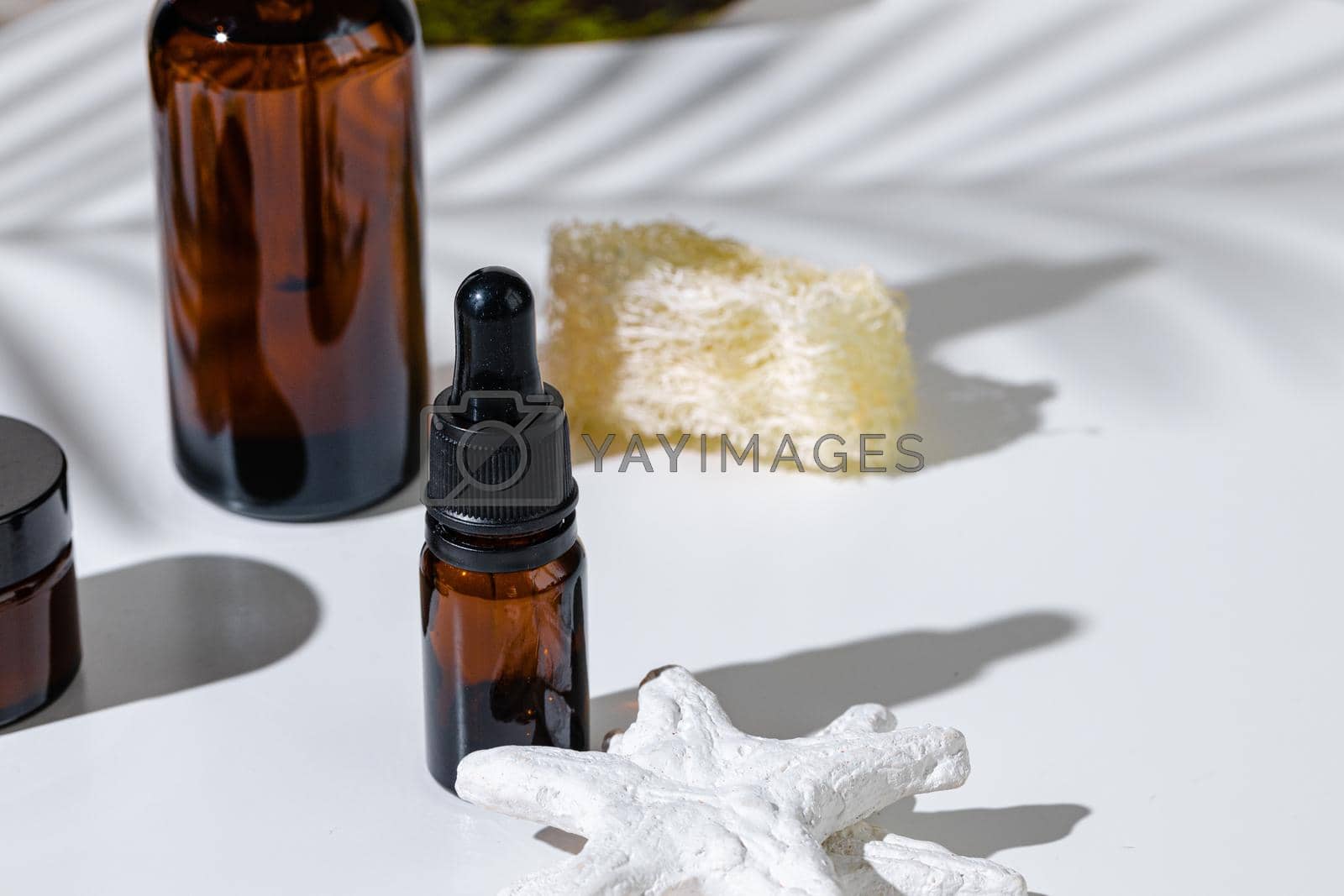 Royalty free image of Skincare products containers on a white background with creative shadows by Fabrikasimf