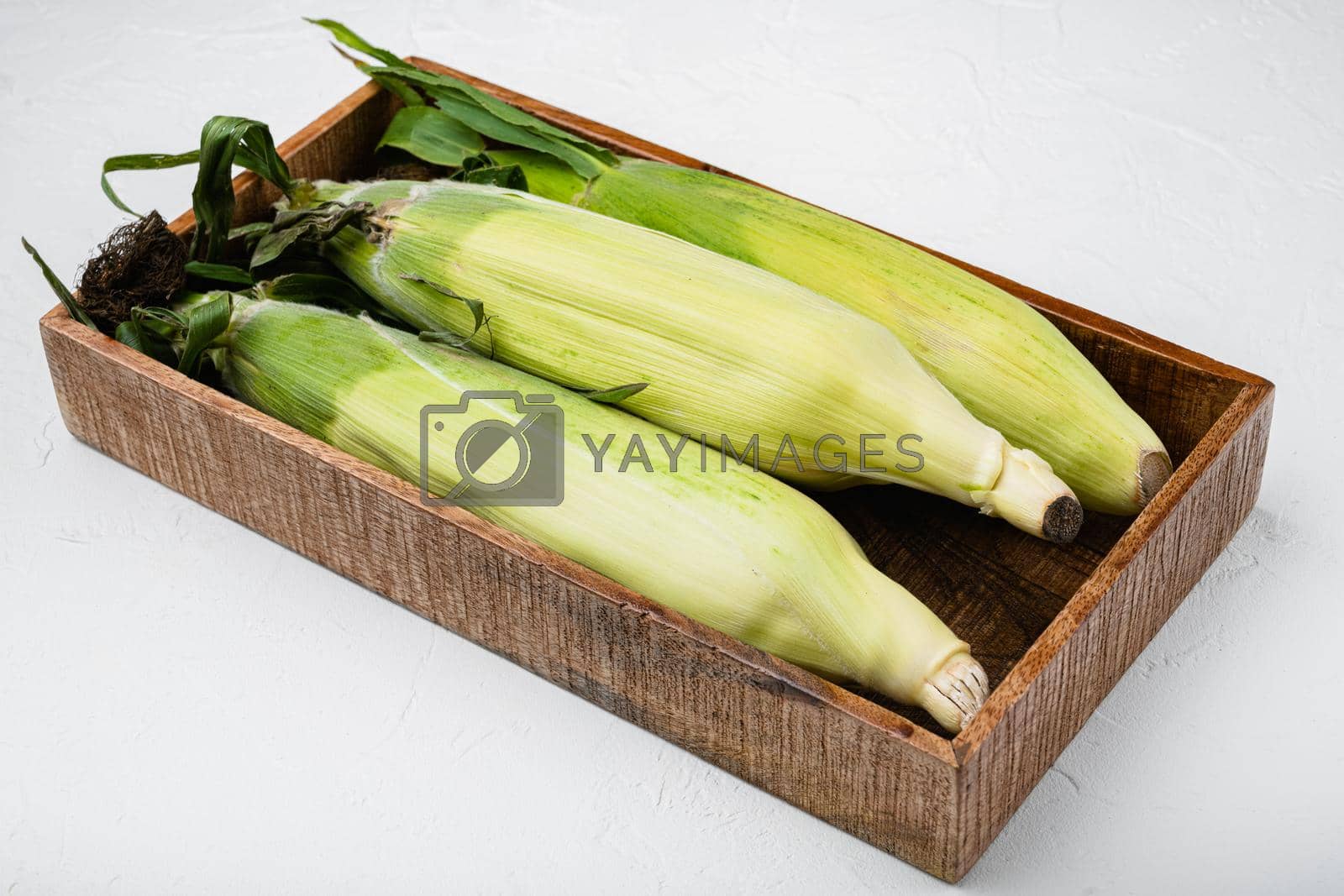 Royalty free image of Ear of maize or corn, on white stone table background by Ilianesolenyi