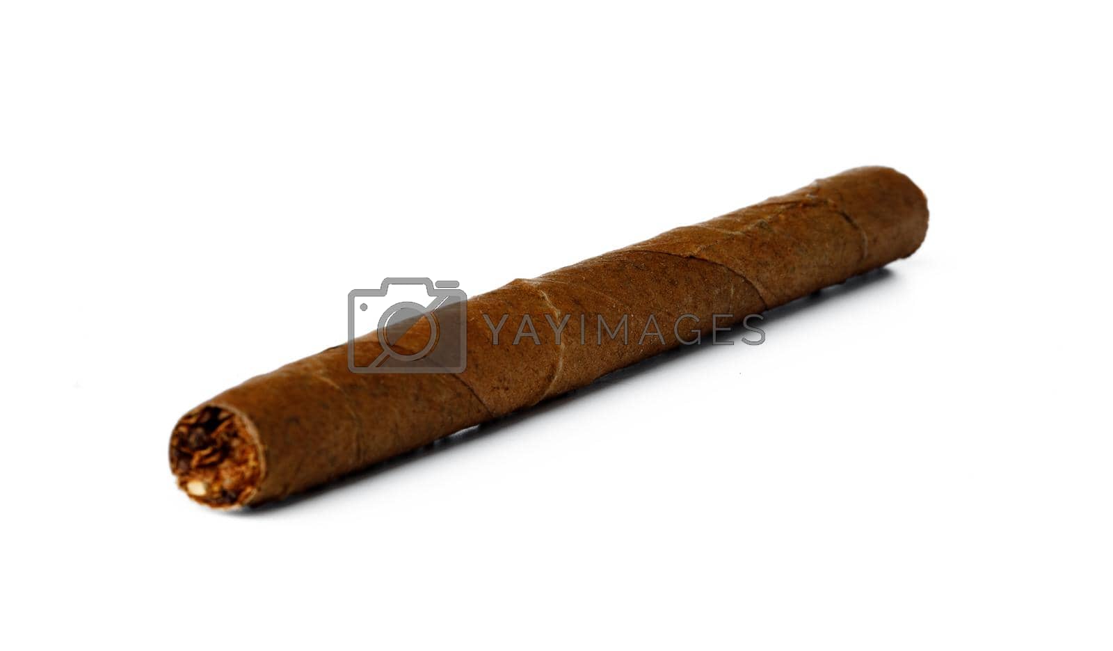 Royalty free image of One hand rolled cigar isolated on white by Fabrikasimf