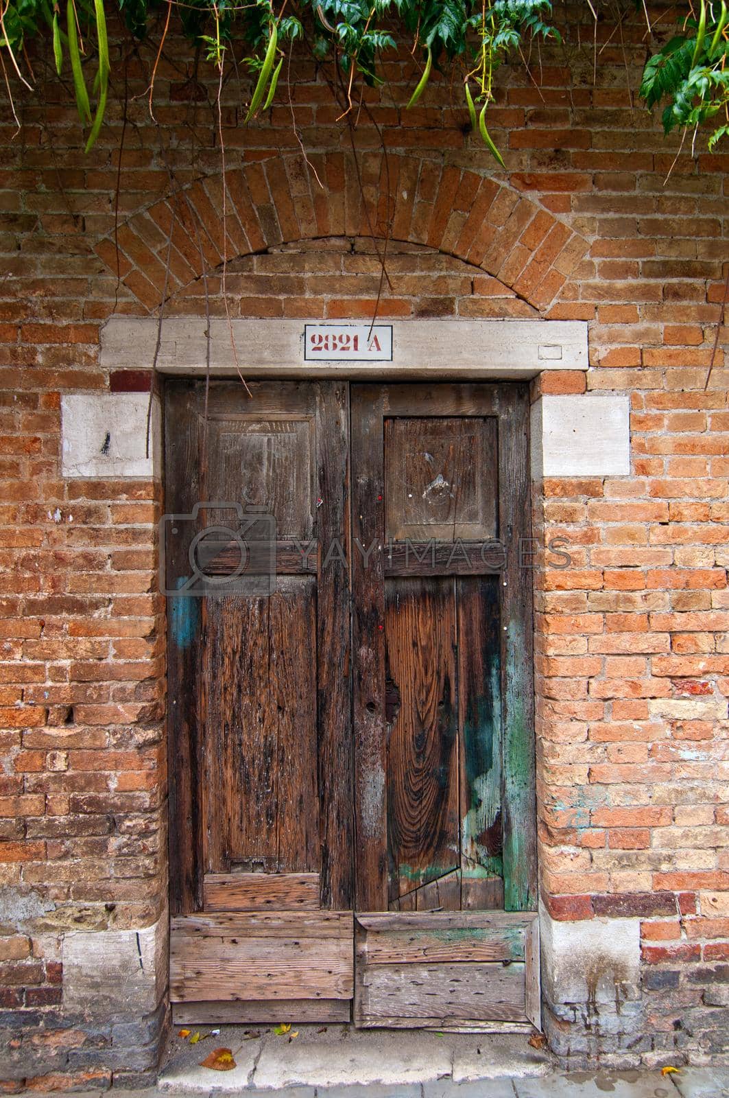 Royalty free image of Venice Italy old door by keko64