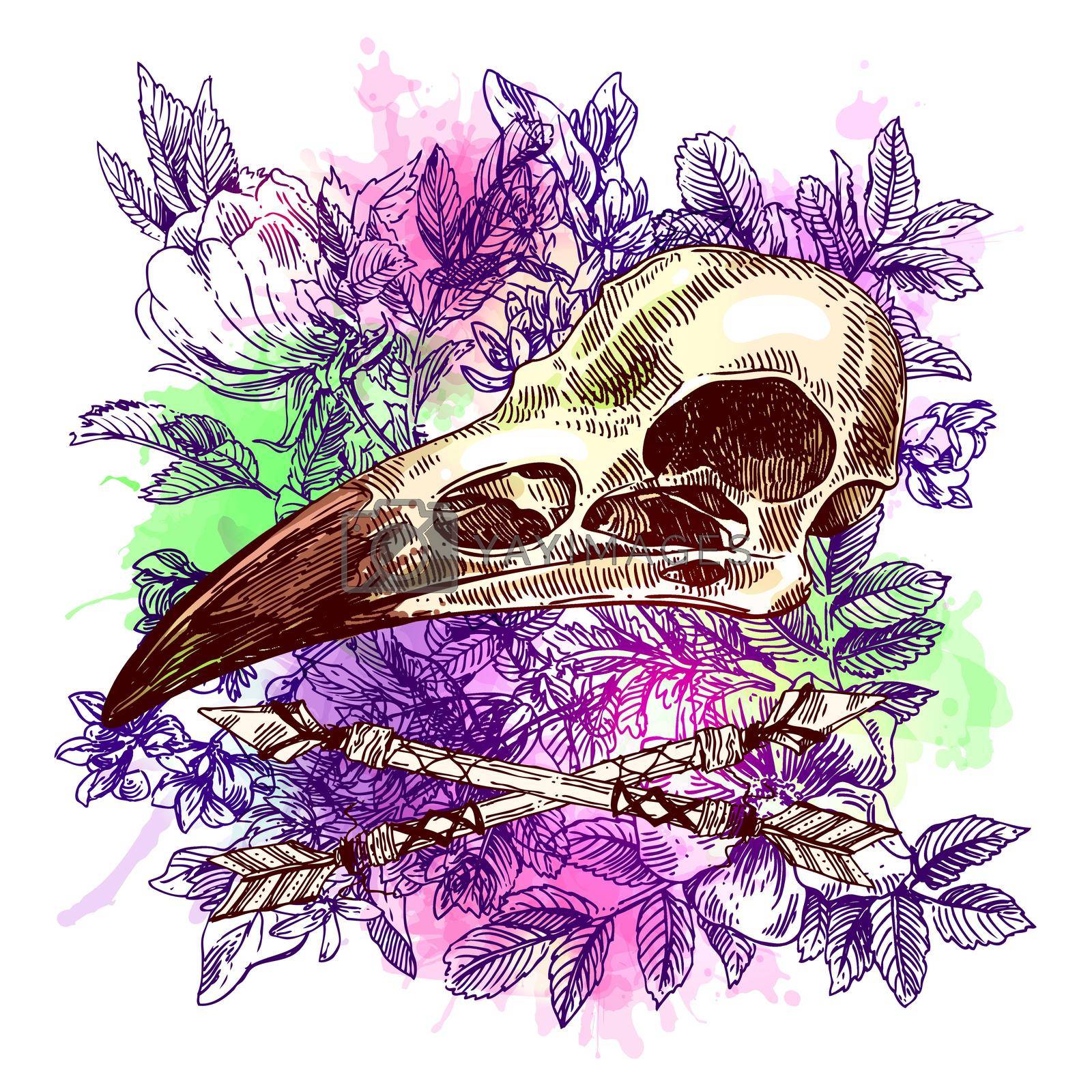 Royalty free image of illustration animal skull by steshnikova