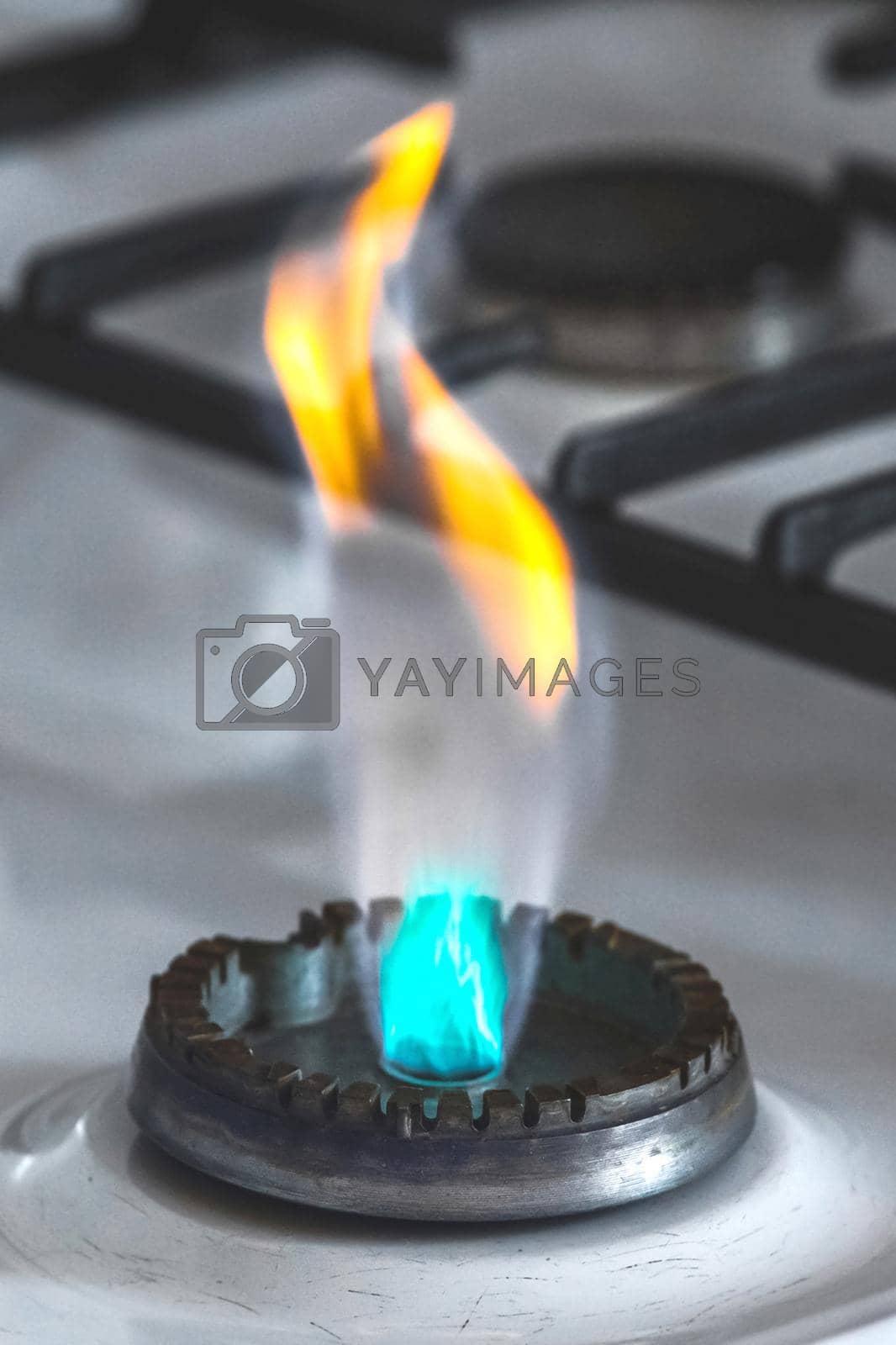 Royalty free image of Gas burner with flame from a hole on a gas stove, close-up by AYDO8