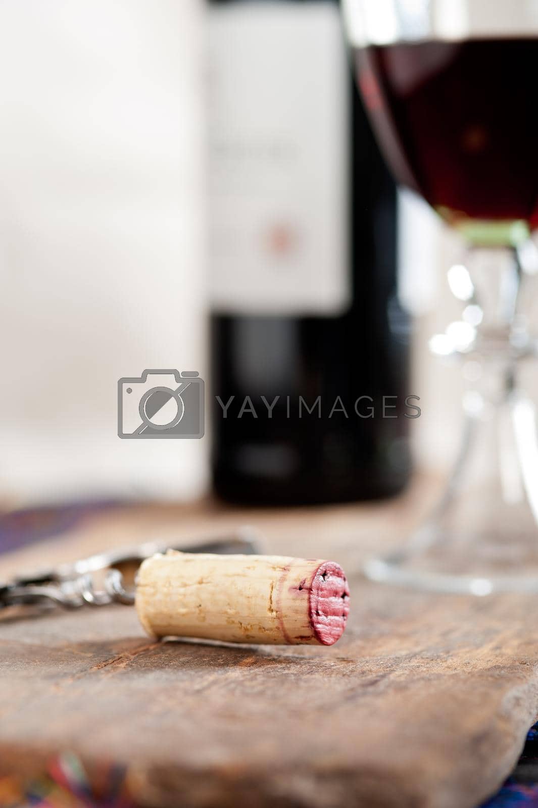 Royalty free image of red wine tasting  by keko64