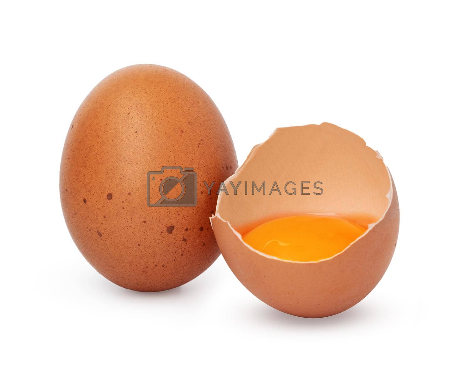 Royalty free image of Brown raw eggs and one broken isolated on white background by Fabrikasimf