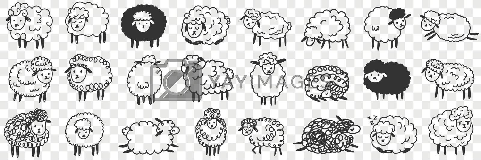 Funny white and black sheep animals doodle set. Collection of hand drawn various funny cute fluffy sheets in farms in different poses enjoying life isolated on transparent background