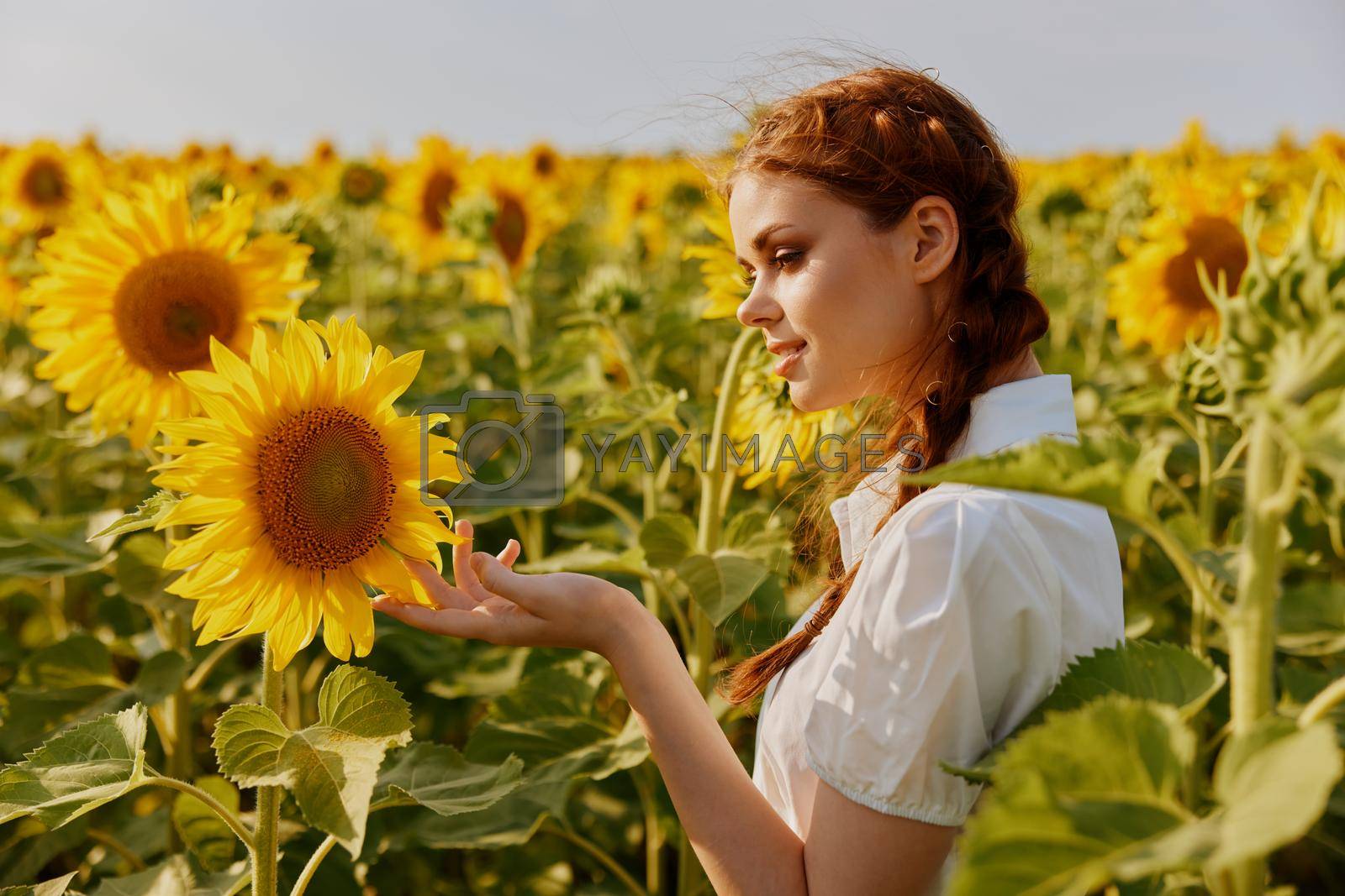woman with pigtails in countryside sunflower fields nature summer. High quality photo