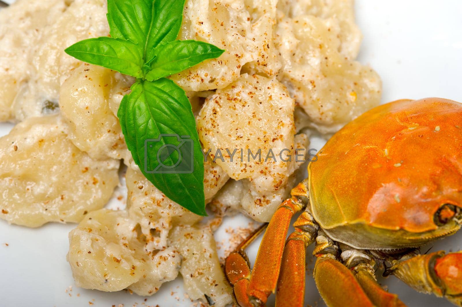 Royalty free image of Italian gnocchi with seafood sauce with crab and basil by keko64