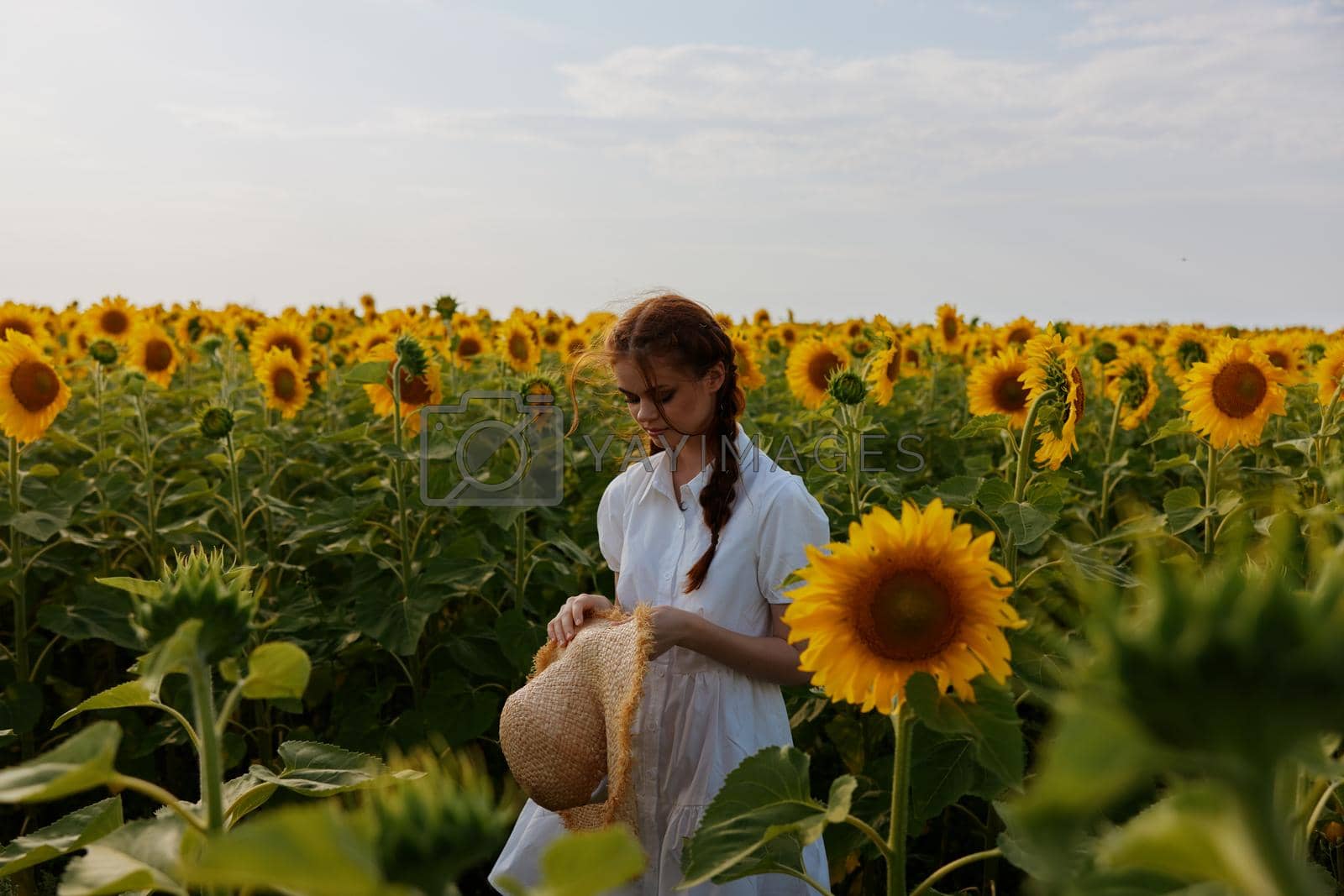 woman in sunflower field with hat in hands nature landscape. High quality photo