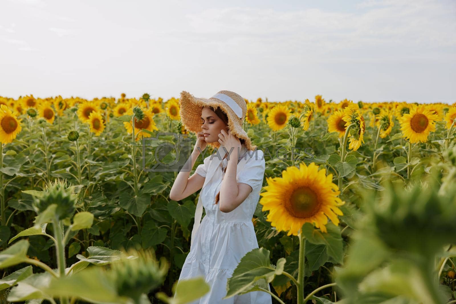 woman with hat sunflower field landscape nature sun rest. High quality photo
