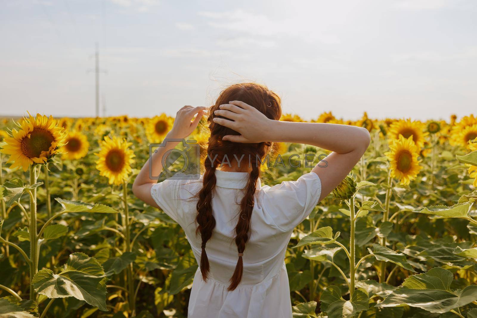 woman with two pigtails in a field of sunflowers countryside. High quality photo