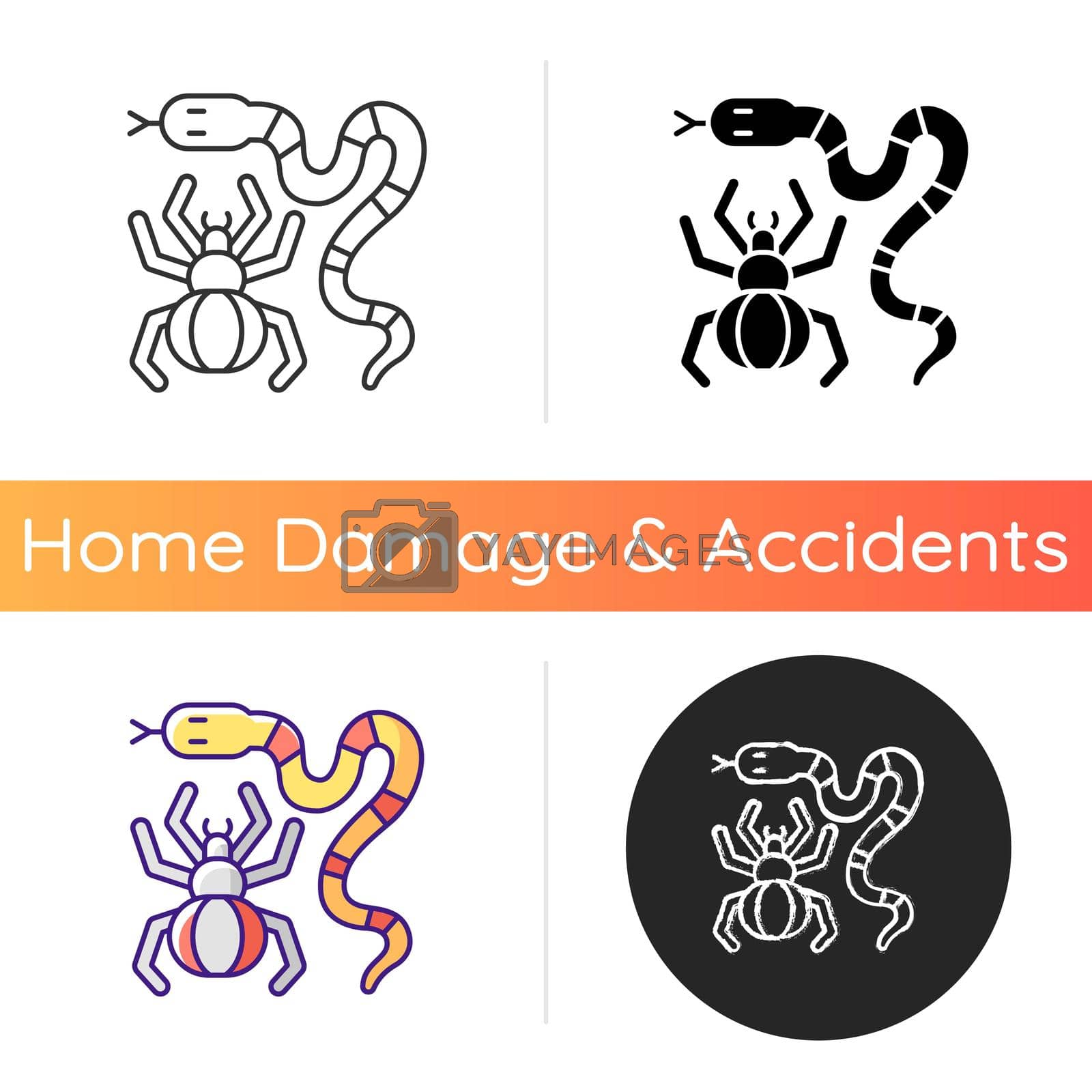 Dangerous animals icon. Exotic pets. Poisonous snakes and venomous spiders. Cobras, vipers and rattlesnakes. Wildlife home invaders. Linear black and RGB color styles. Isolated vector illustrations