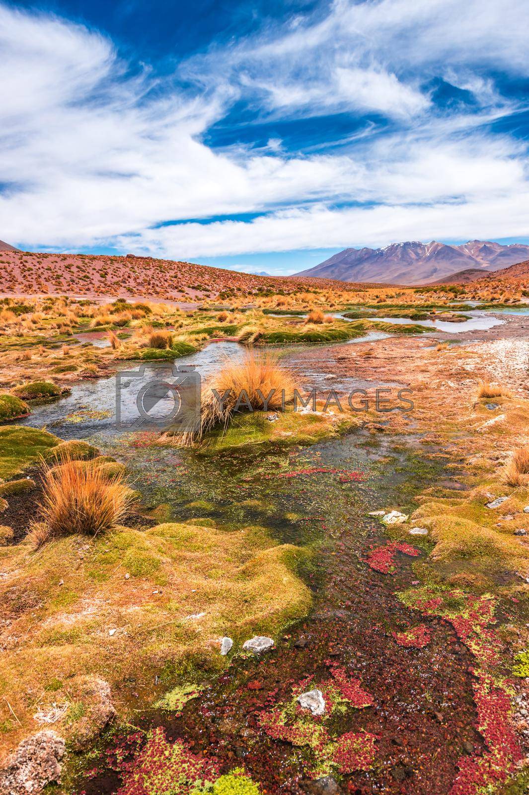 Royalty free image of Lagoon landscape in Bolivia by tan4ikk1