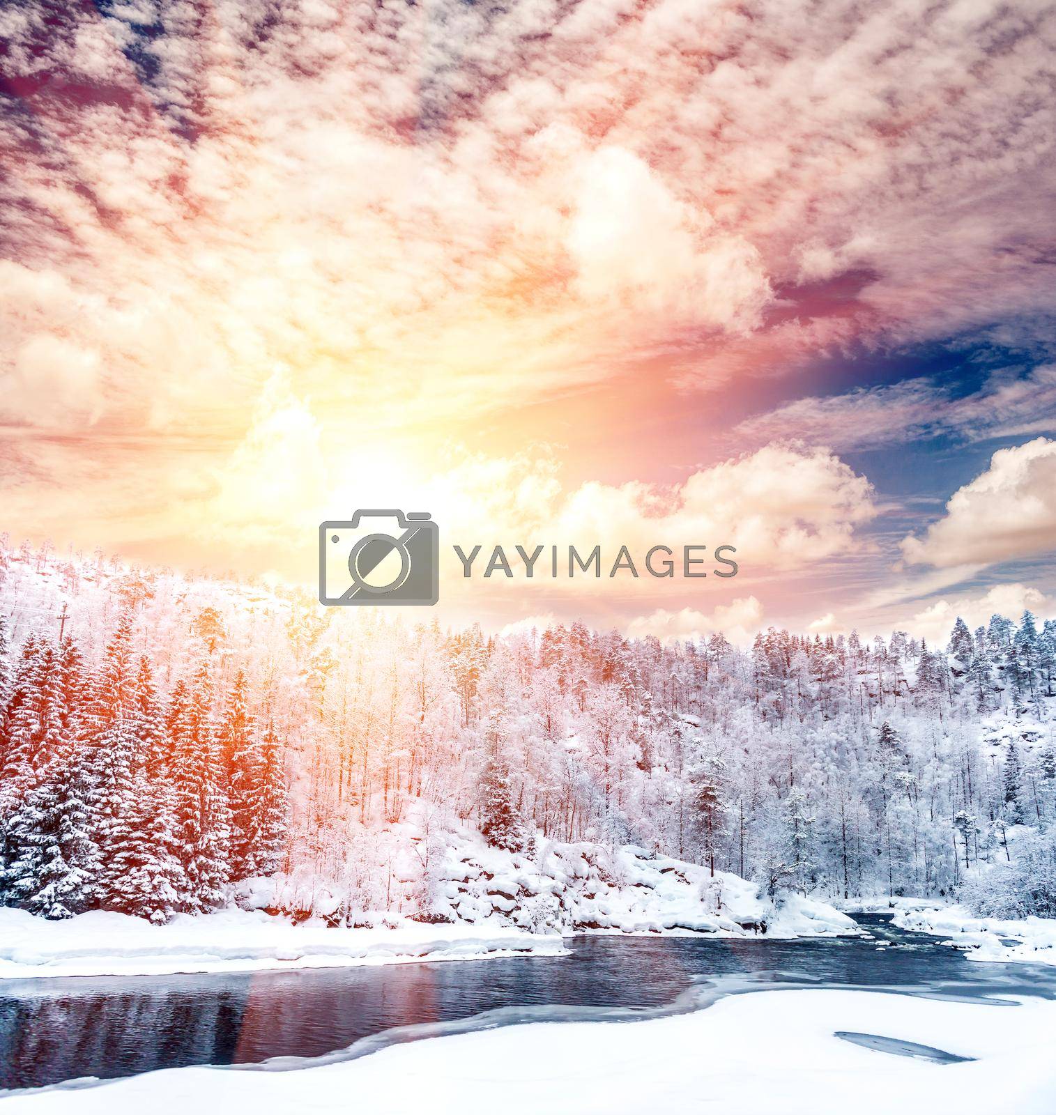 Royalty free image of Sunshine winter landscape by tan4ikk1