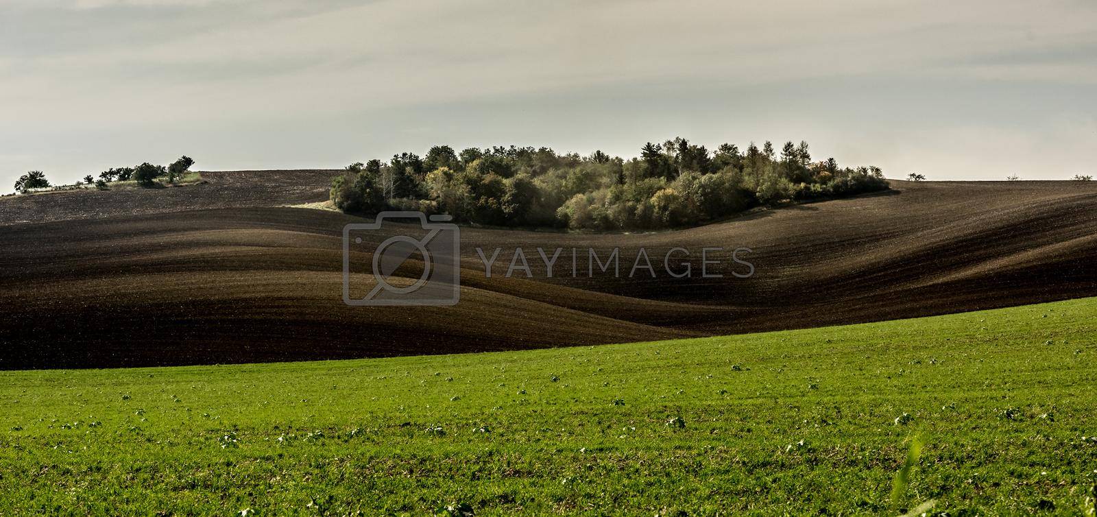 Bright landscape of green field and sunshine plowed dark ground on the slopes of Moravian land