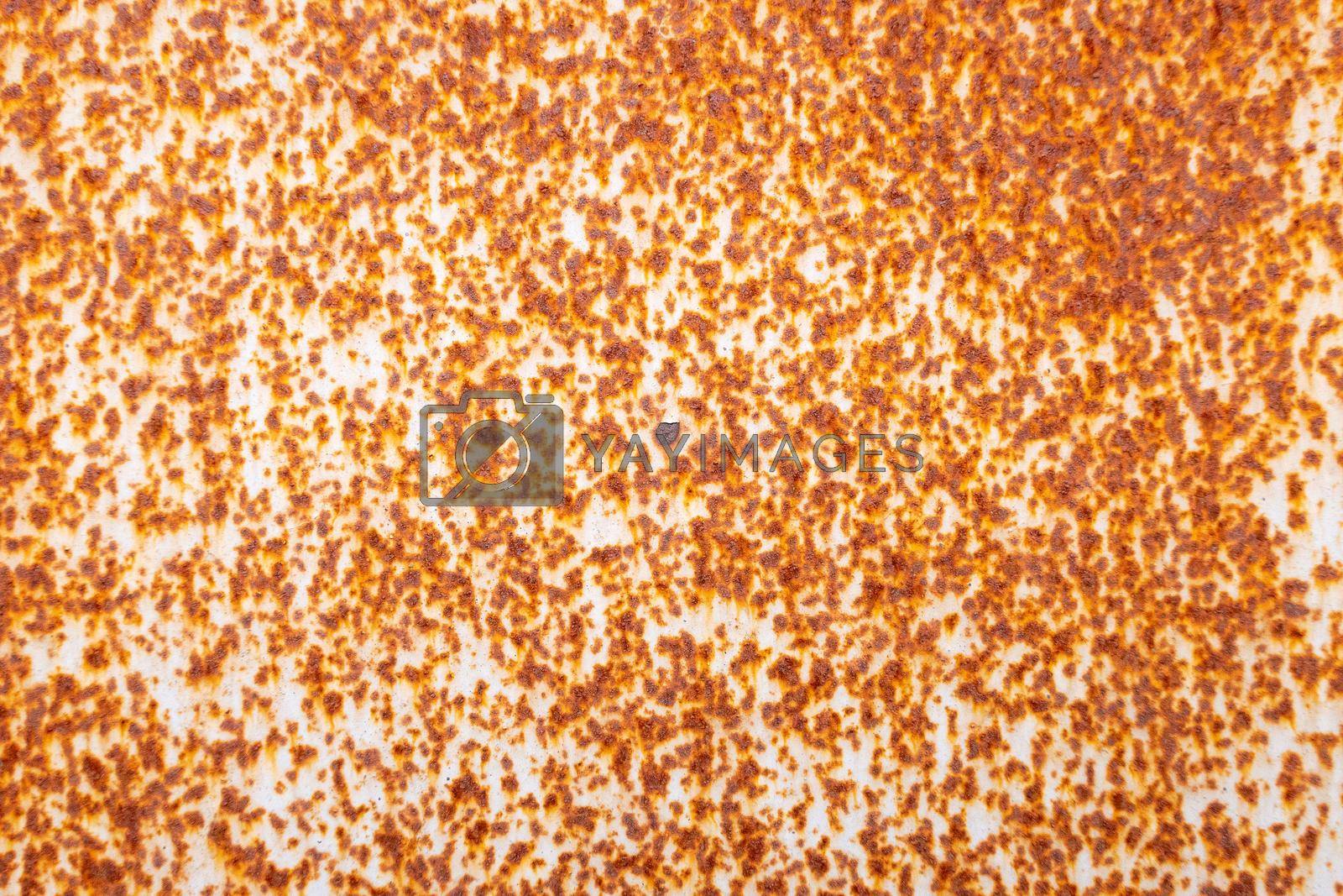 Royalty free image of Ripped paint on rusty metal. Background. by kolesnikov_studio