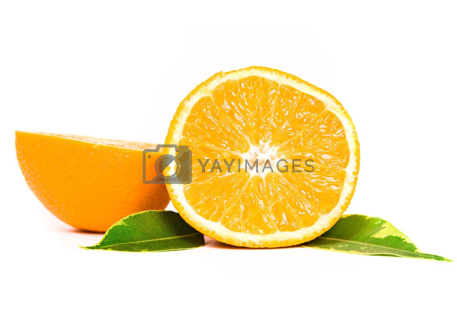 Royalty free image of orange fruit by tan4ikk1
