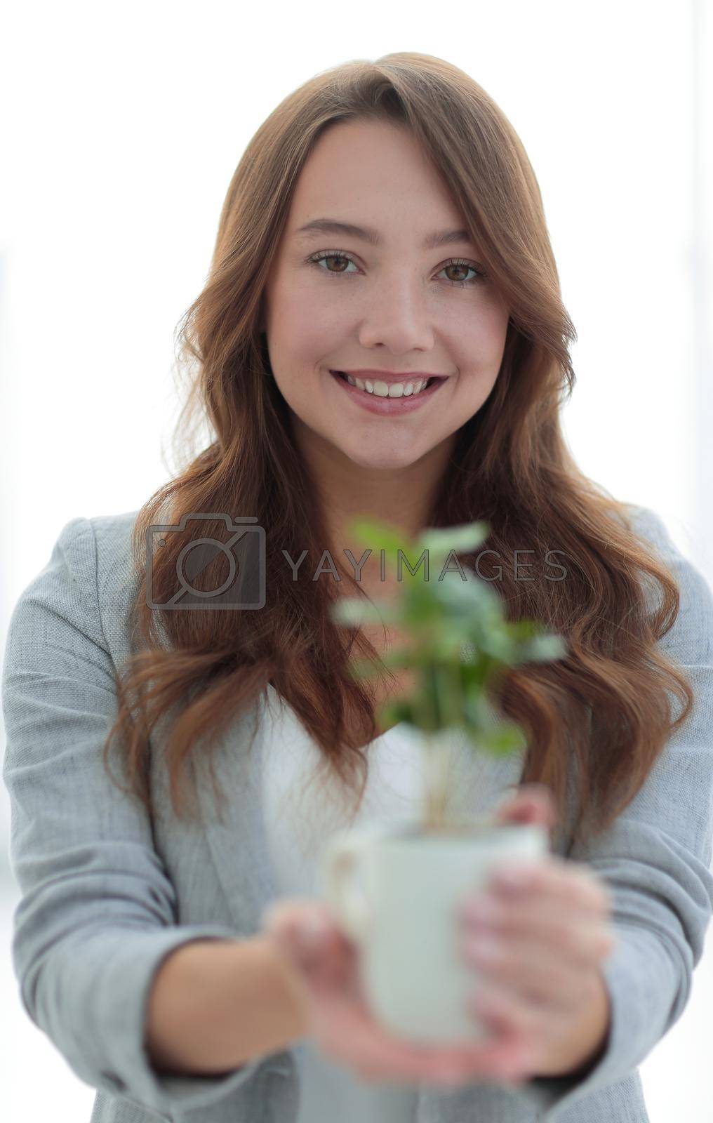 Royalty free image of close up.a woman's business shows you a sapling by asdf