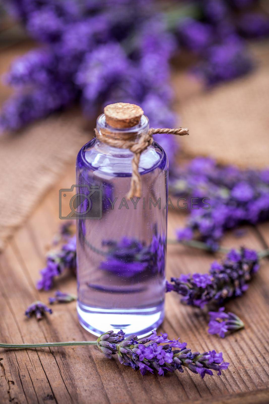 Spa massage oil and fresh lavender flowers