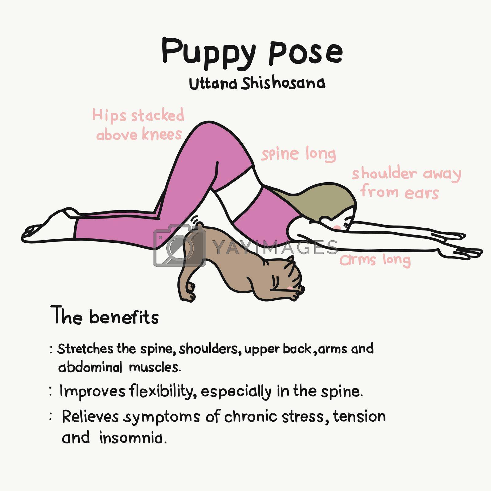 Puppy yoga pose and benefits cartoon vector illustration