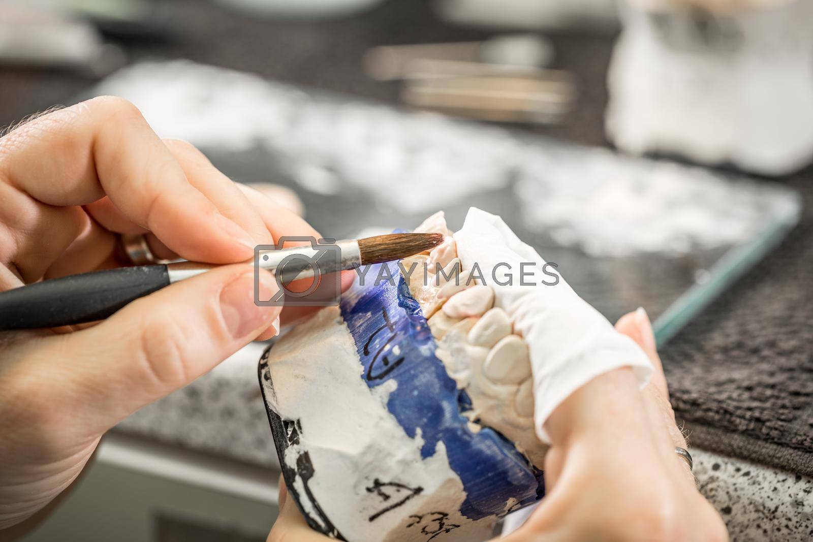 Dental technician working on dentures, painting