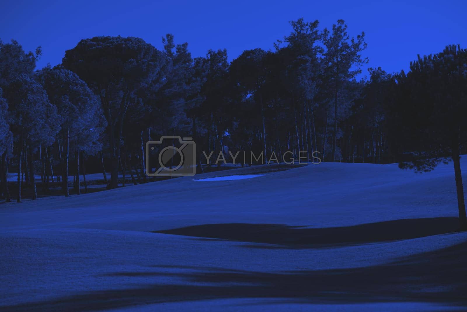 Royalty free image of golf course by dotshock