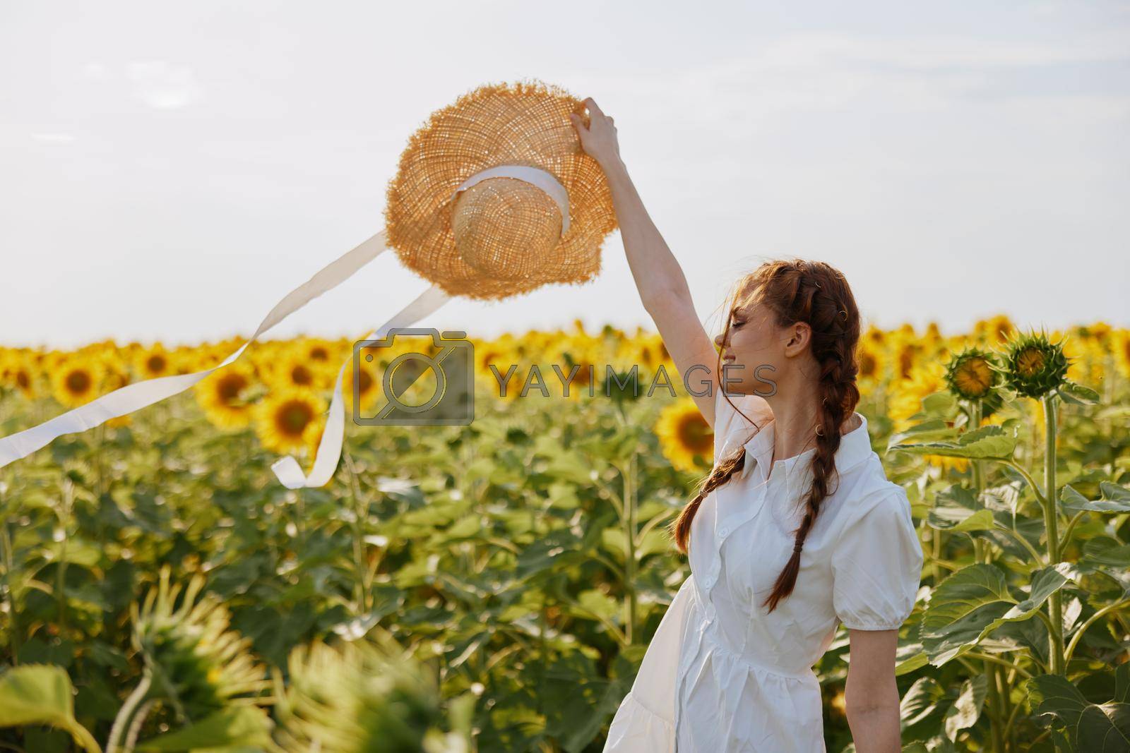 woman with pigtails In a field with blooming sunflowers landscape. High quality photo
