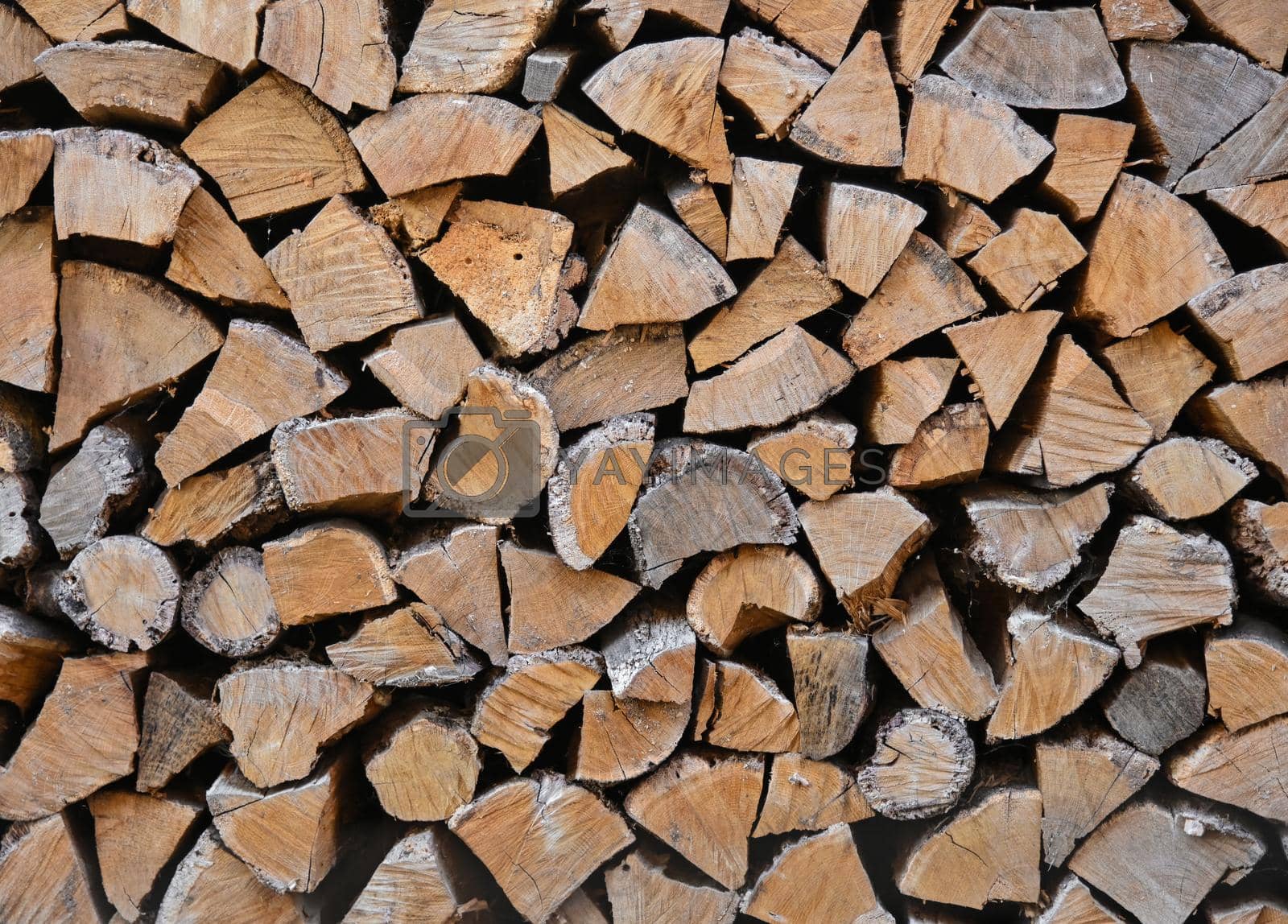 Royalty free image of Stack pile of firewood oak wooden logs by BreakingTheWalls