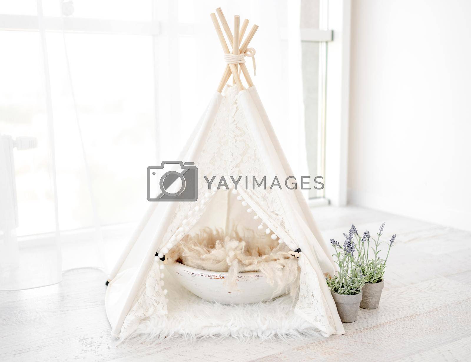 Beautiful white hut house decoration with basin and flowers for domestic pets photosession in light room. Stylish cute furniture wigwam for cat, dog and rabbit studio photos