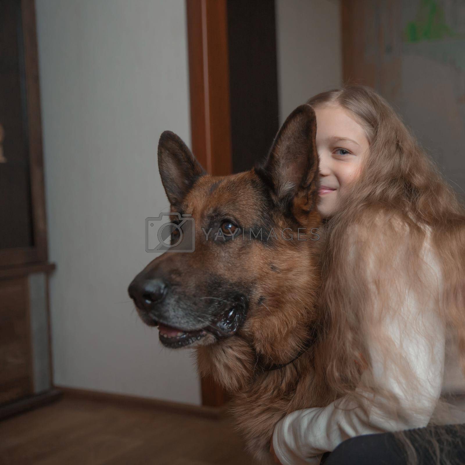 little girl hugs a friendly big dog. favorite Pets