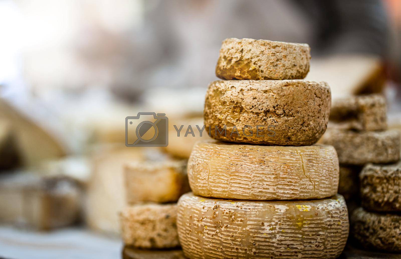 Royalty free image of Cheese heads stacked on table by GekaSkr