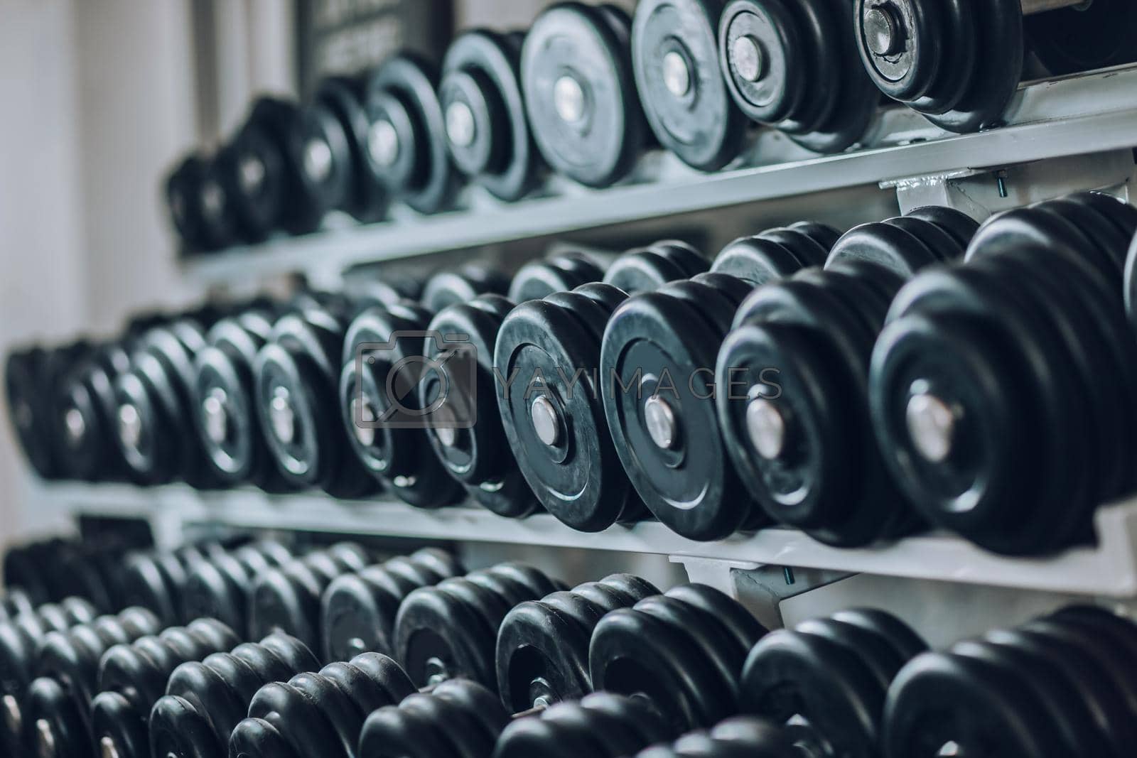 Royalty free image of background image of rows of dumbbells in the gym by SmartPhotoLab