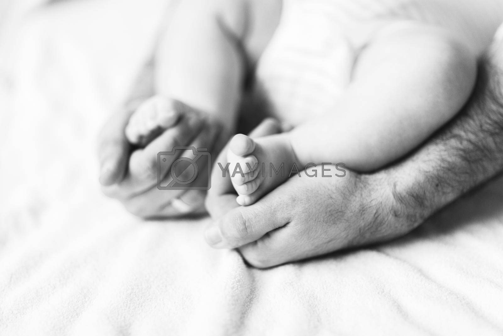 Royalty free image of Children's feet in the hands of his father.conceptual image of fatherhood by SmartPhotoLab