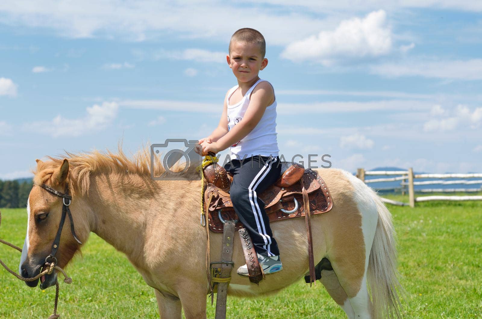 Royalty free image of child ride pony by dotshock
