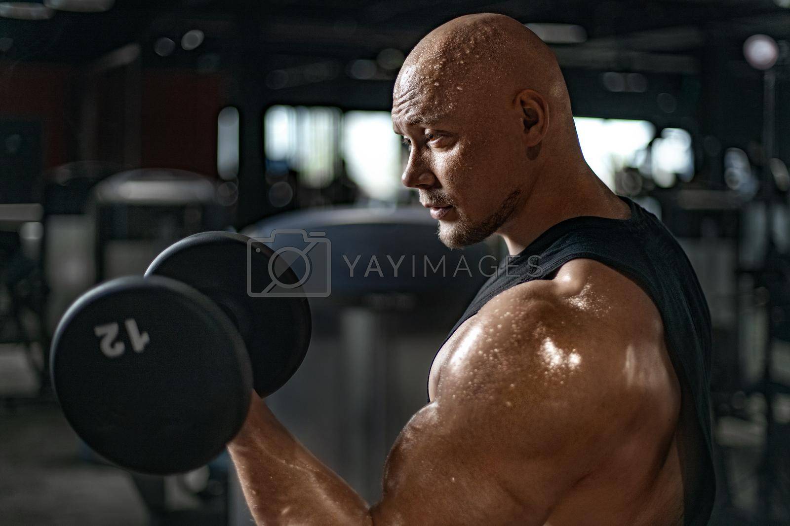 Bodybuilder athlete trains in the gym. Sporty muscular guy with barbell. Sport and fitness motivation. Individual sports recreation